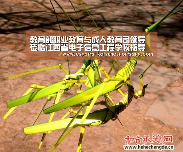 教育部职业教育与成人教育司领导莅临江西省电子信息工程学校指导调研_开云电竞(图1) LOL直播