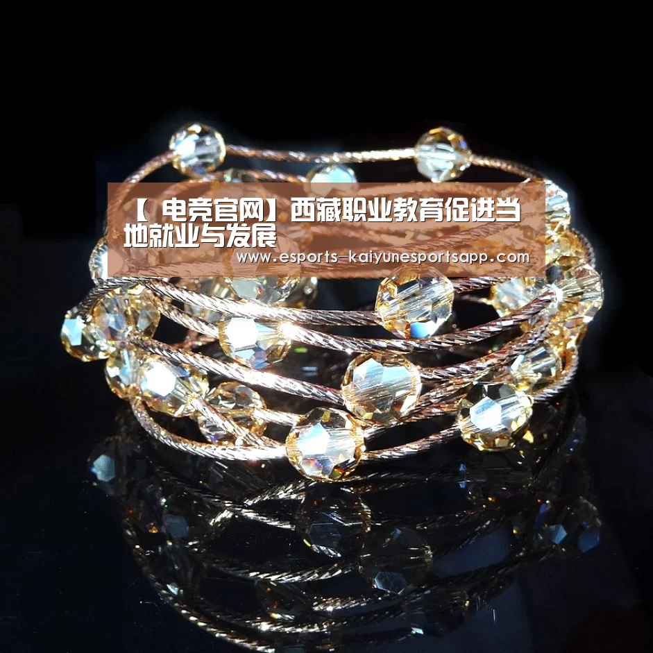 【 电竞官网】西藏职业教育促进当地就业与发展(图1) 电竞官网