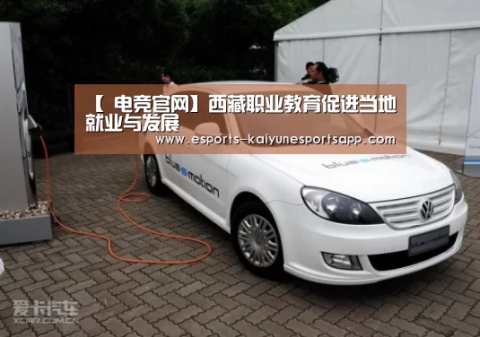 【 电竞官网】西藏职业教育促进当地就业与发展(图4) LOL直播