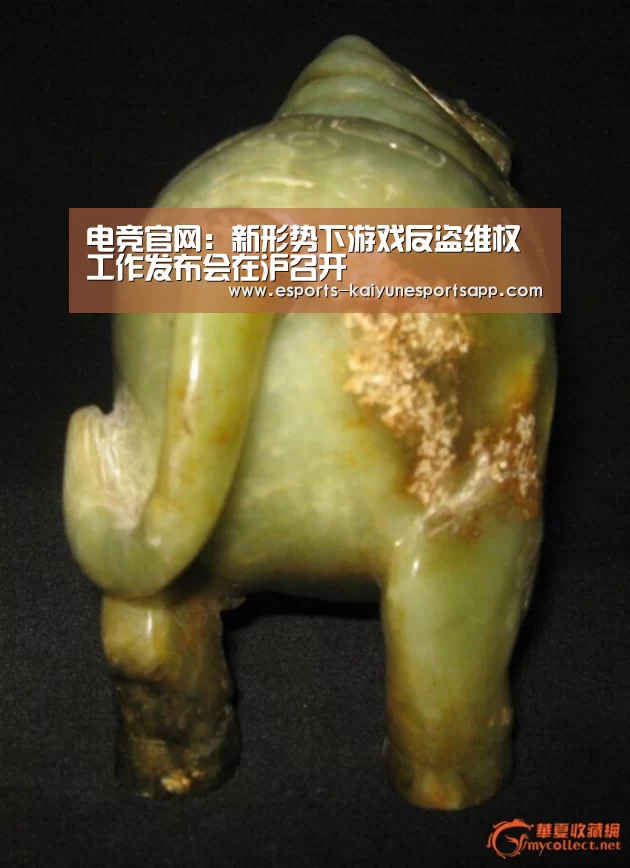 电竞官网:新形势下游戏反盗维权工作发布会在沪召开(图2) 开云电竞