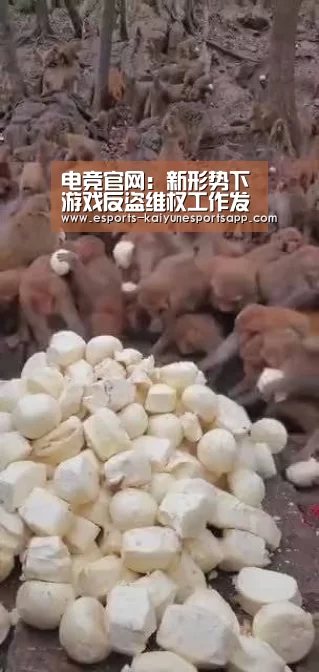 电竞官网:新形势下游戏反盗维权工作发布会在沪召开(图4) 开云电竞