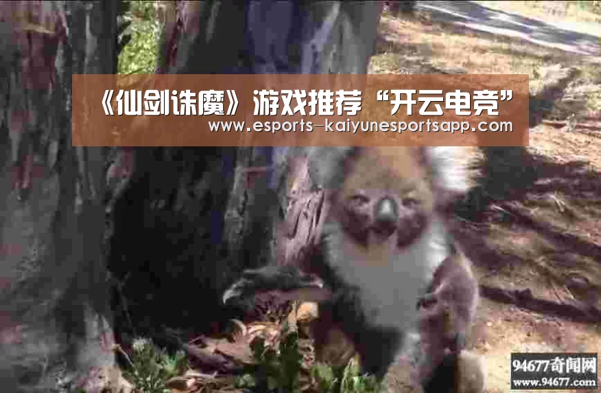 《仙剑诛魔》游戏推荐“开云电竞”(图1) 开云电竞