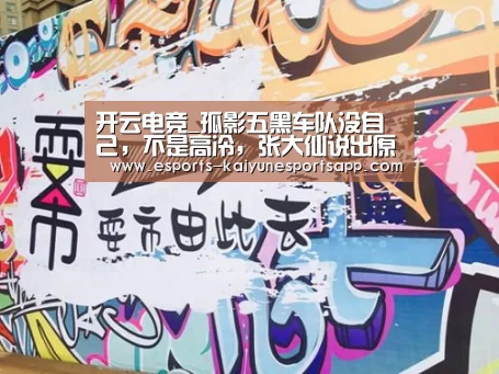 开云电竞_孤影五黑车队没自己,不是高冷,张大仙说出原因后,弹幕沸腾了(图2) LOL直播