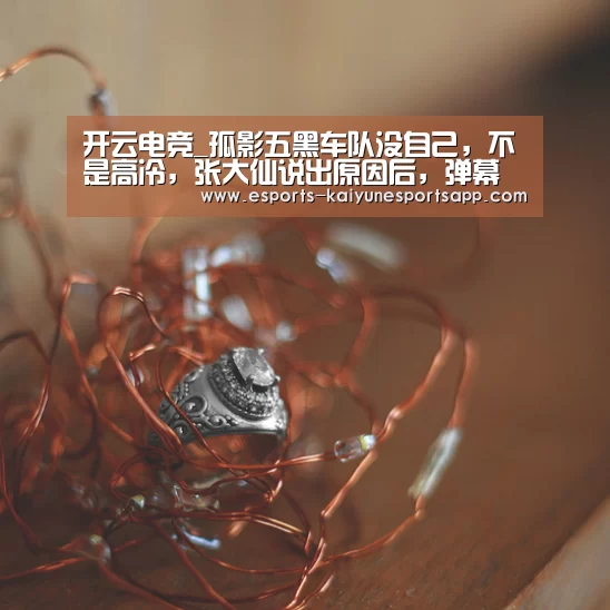 开云电竞_孤影五黑车队没自己,不是高冷,张大仙说出原因后,弹幕沸腾了(图4) 电竞官网