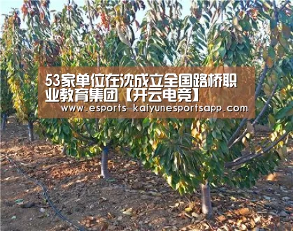 53家单位在沈成立全国路桥职业教育集团【开云电竞】(图3) 电竞官网